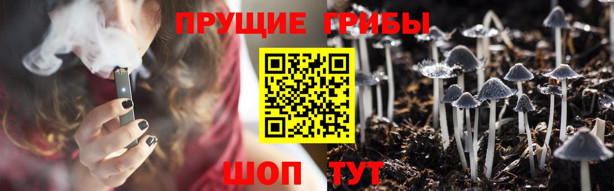 Псилоцибиновые грибы прущие грибы Бийск